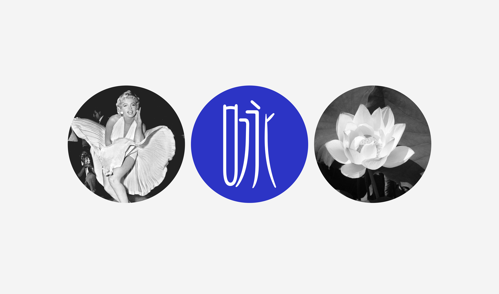 詠美人（河南）科技有限公司標(biāo)志設(shè)計(jì)