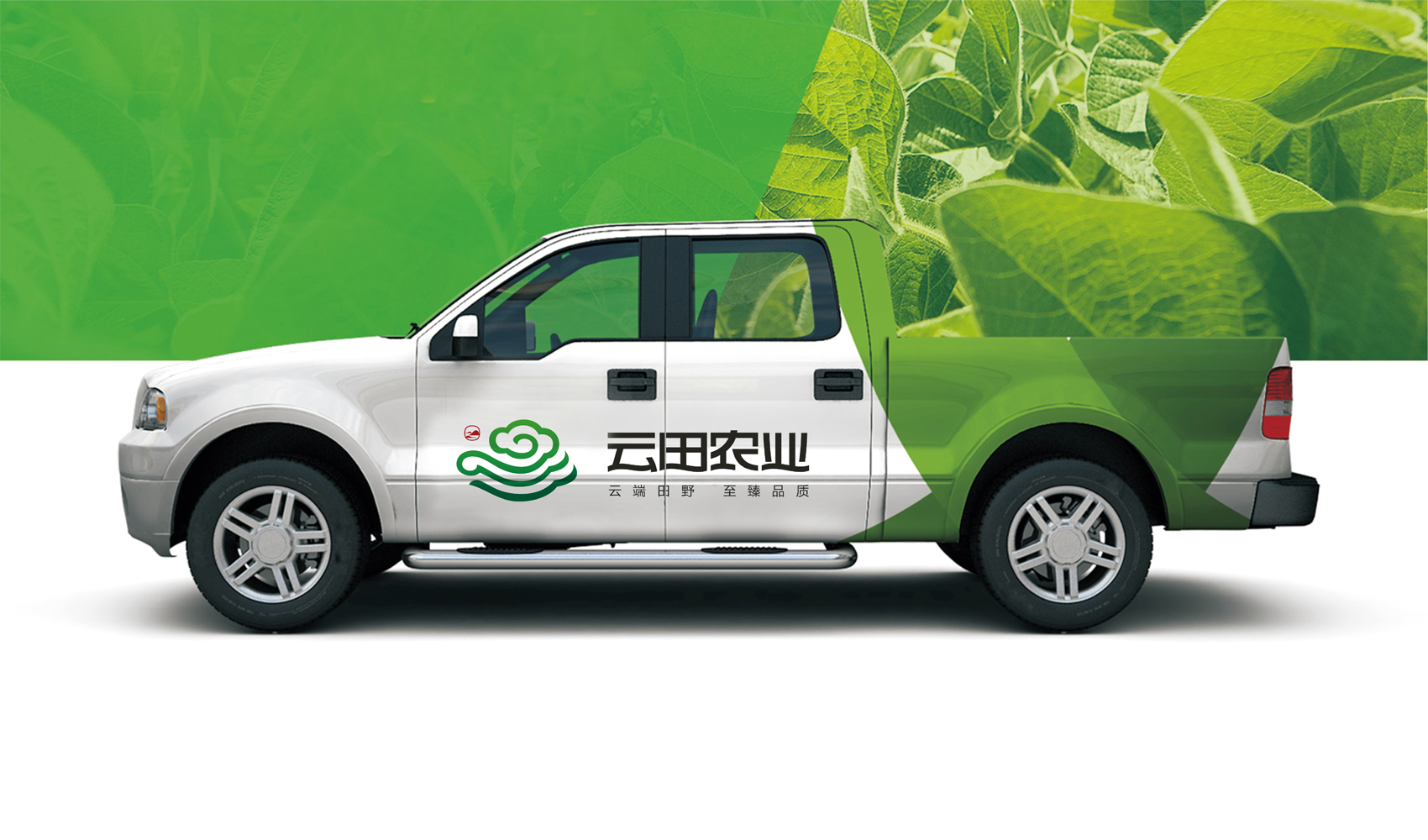 河南云田農業科技發展中心標志設計