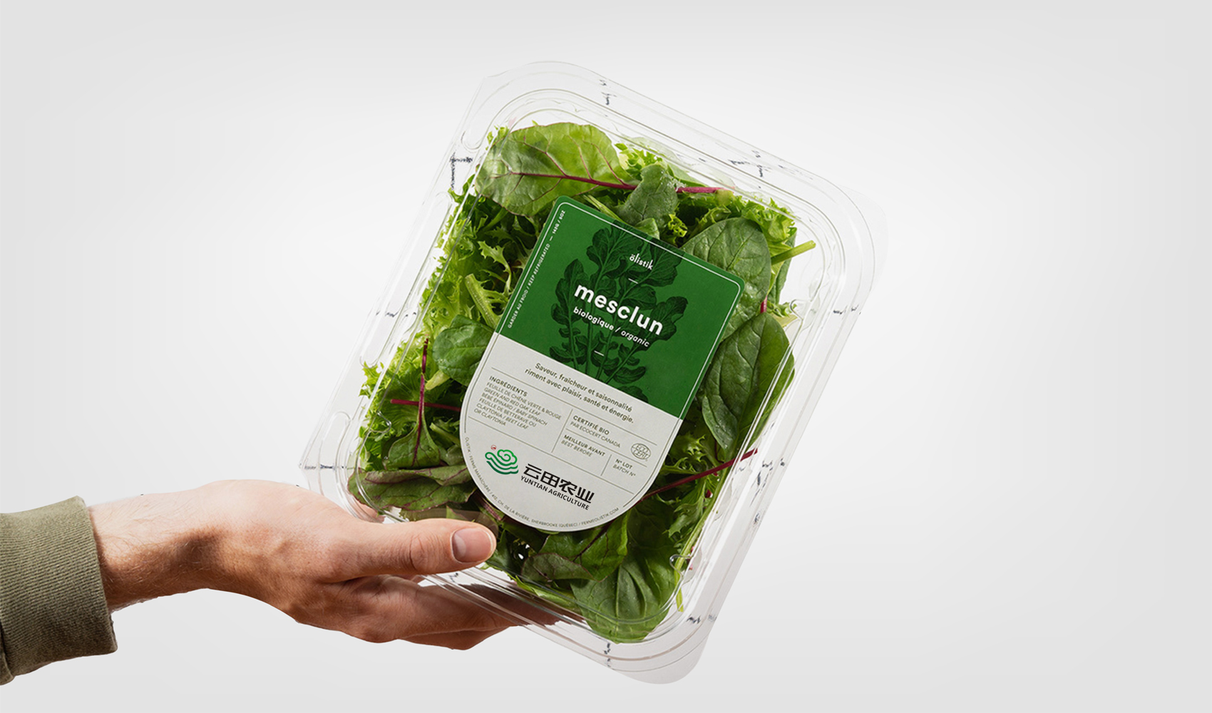 河南云田農業科技發展中心標志設計