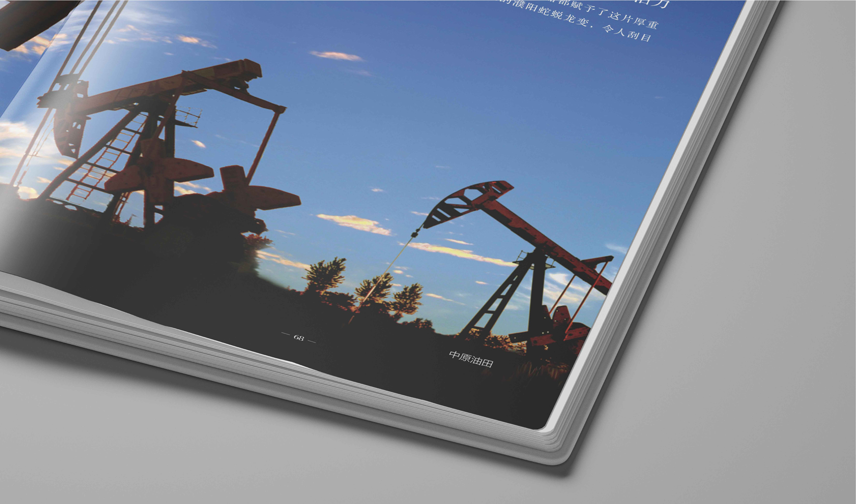濮陽市《我是濮陽》畫冊設計