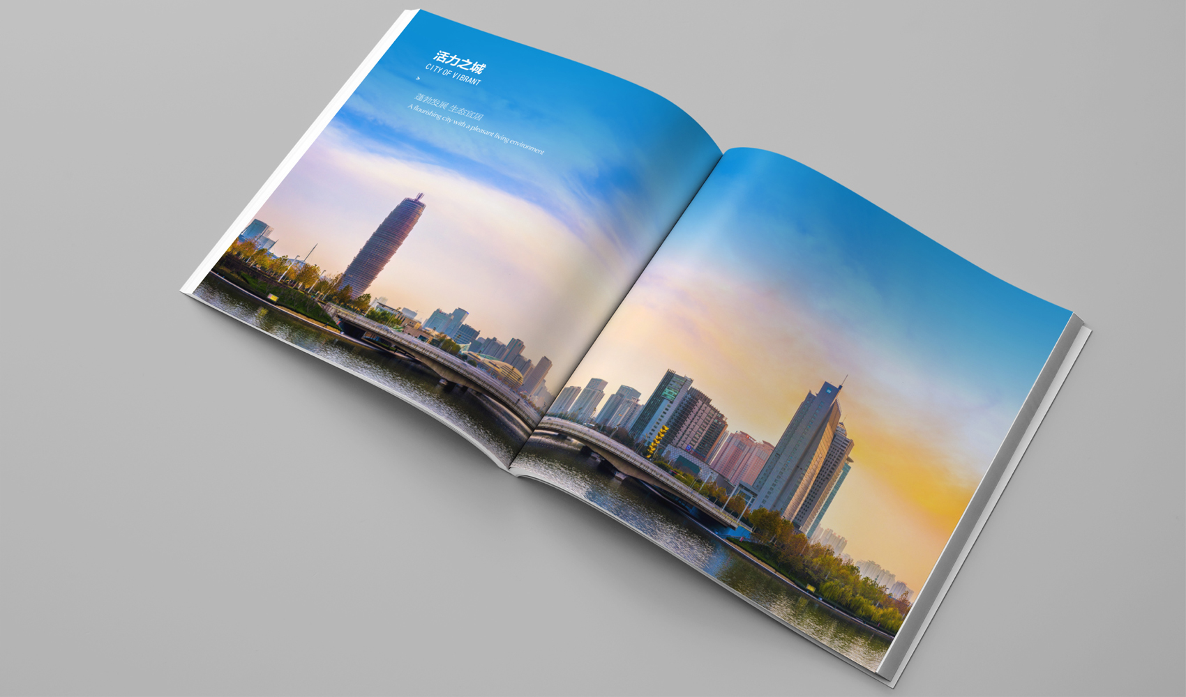 鄭州會展畫冊設計