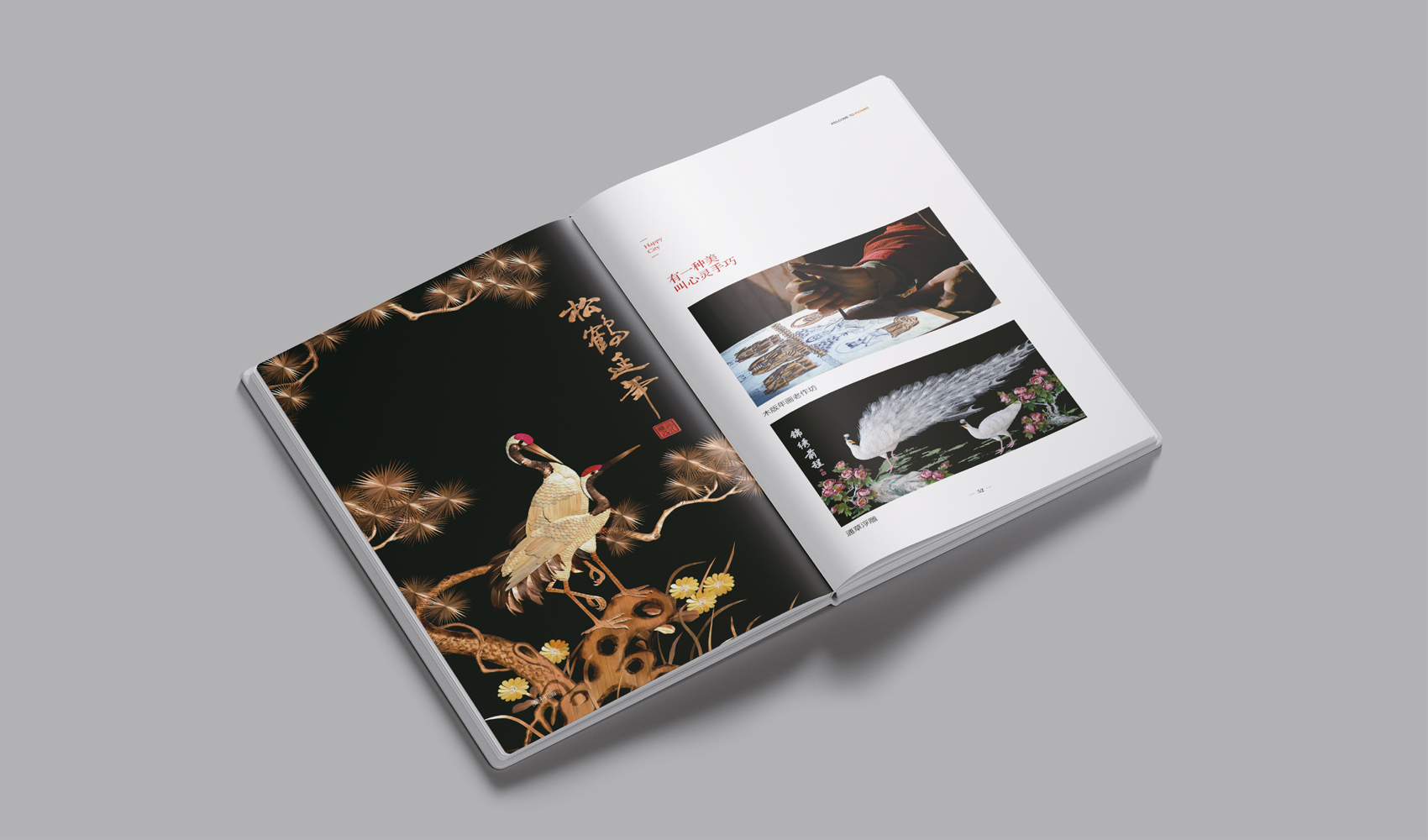 濮陽市《我是濮陽》畫冊設計