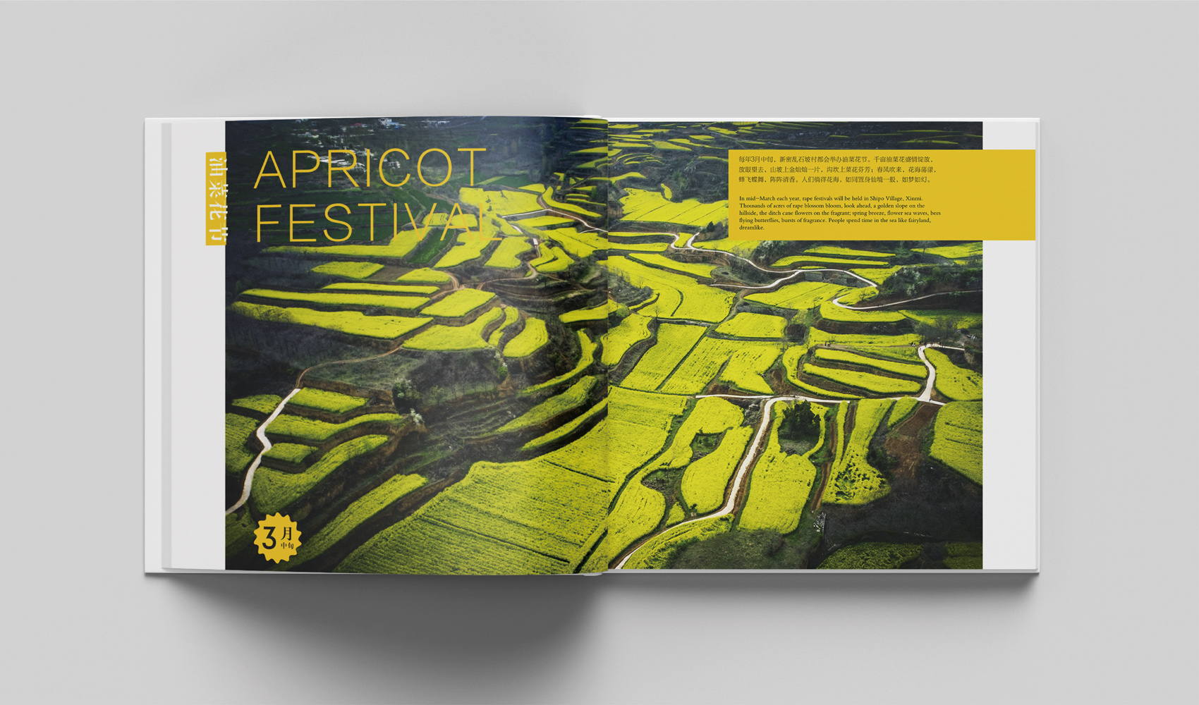 《密語》畫冊設計