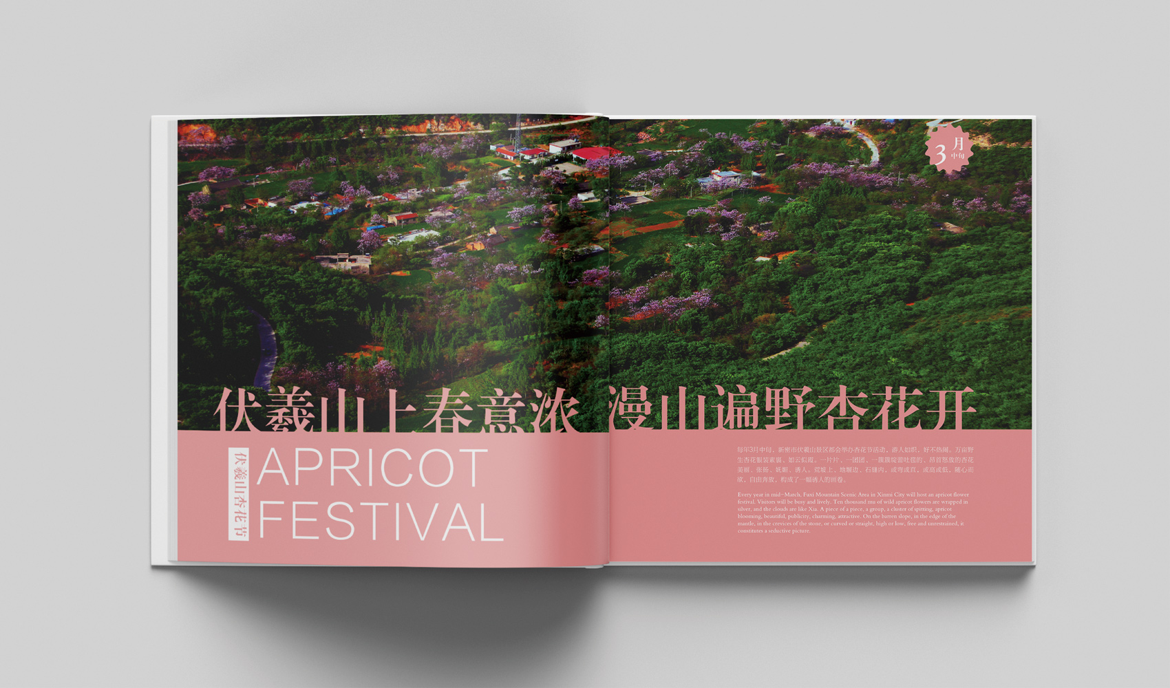 《密語》畫冊設計