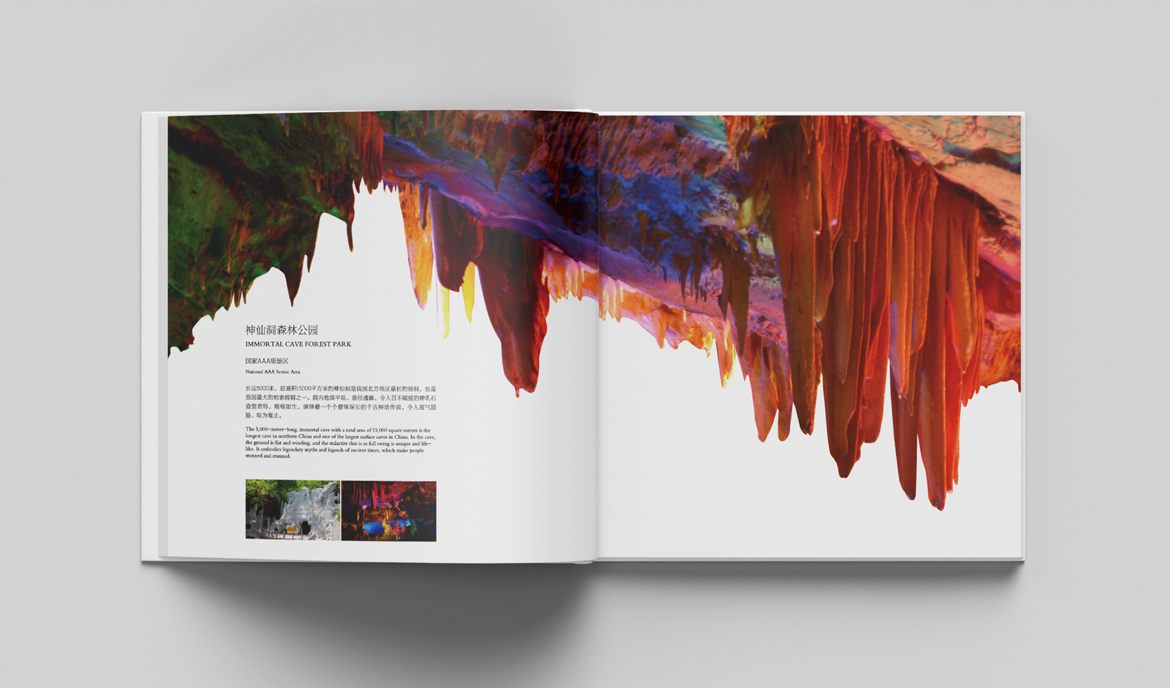 《密語》畫冊設計