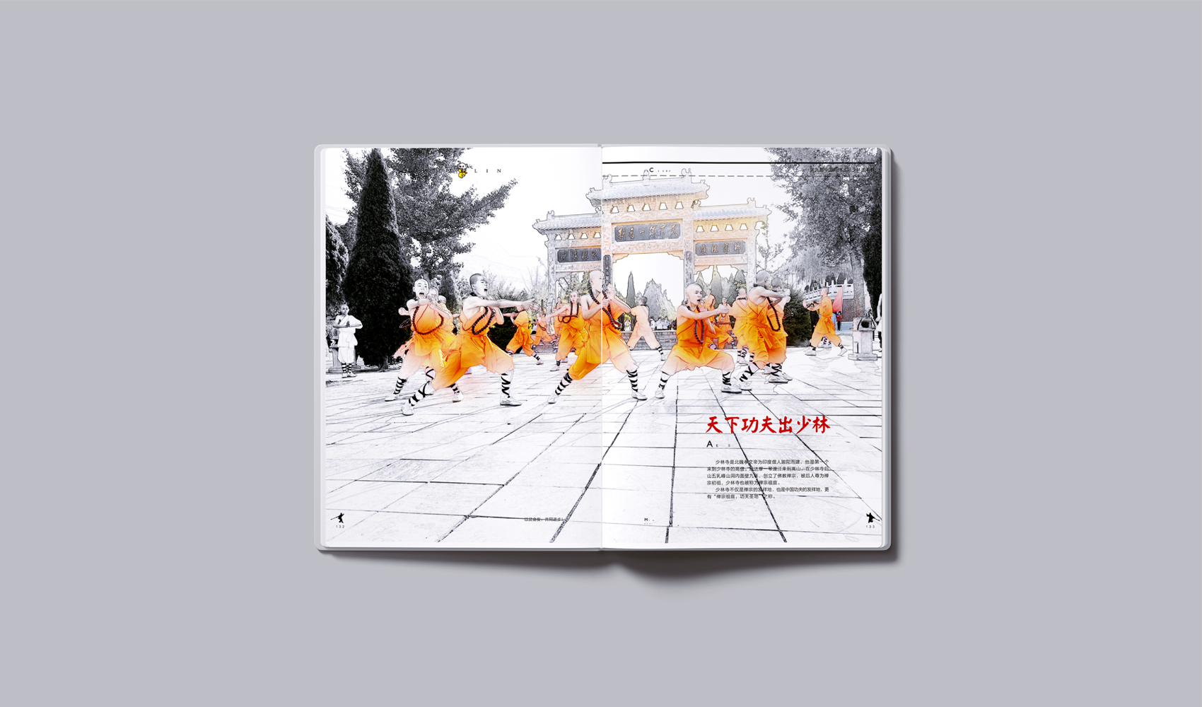 《鄭州國(guó)際少林武術(shù)節(jié)》畫(huà)冊(cè)設(shè)計(jì)