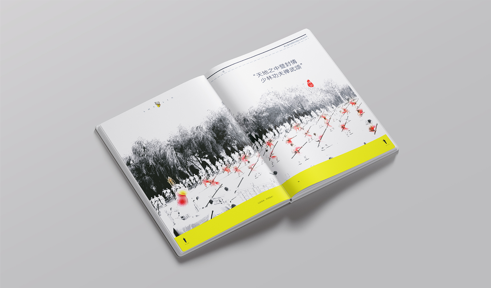 《鄭州國(guó)際少林武術(shù)節(jié)》畫(huà)冊(cè)設(shè)計(jì)