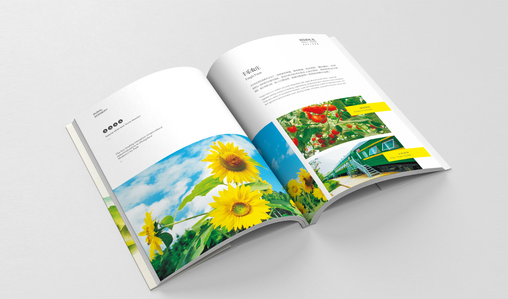 鄭州旅游畫冊設計