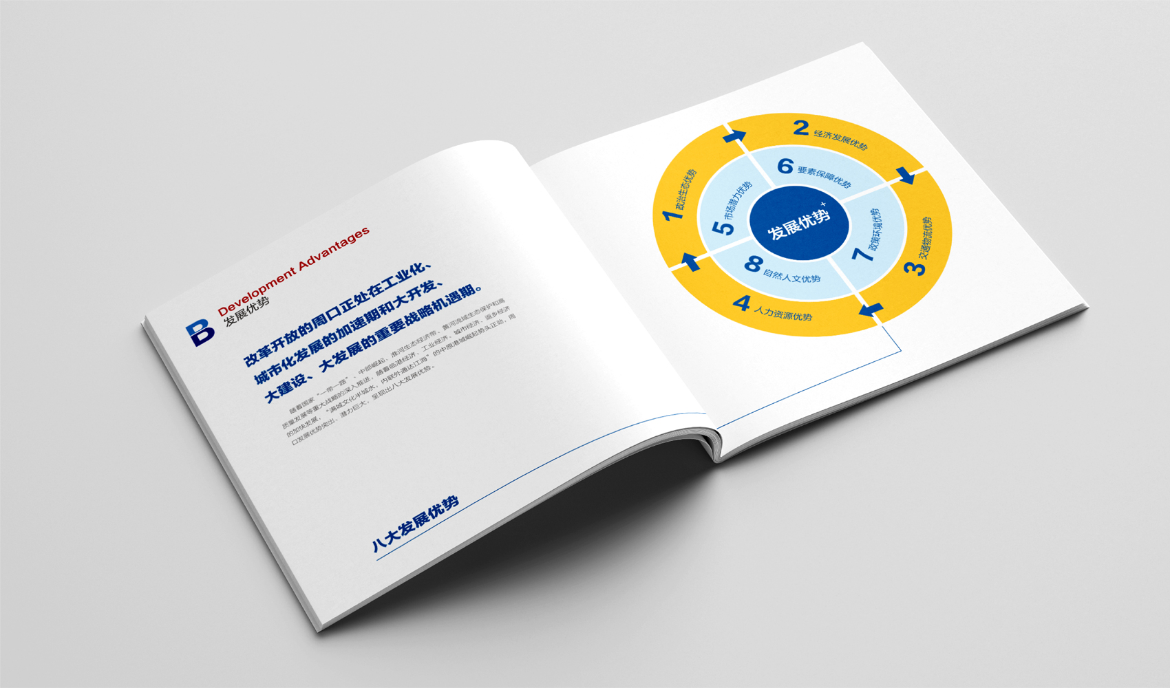 中原港城 魅力周口畫冊設計