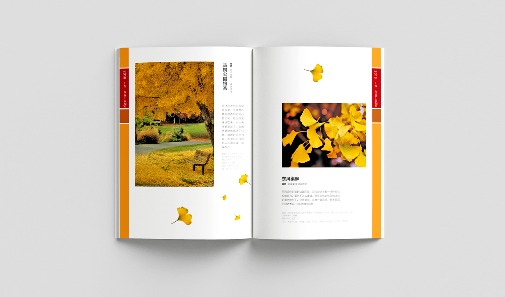 鄭州四季旅游畫冊設計