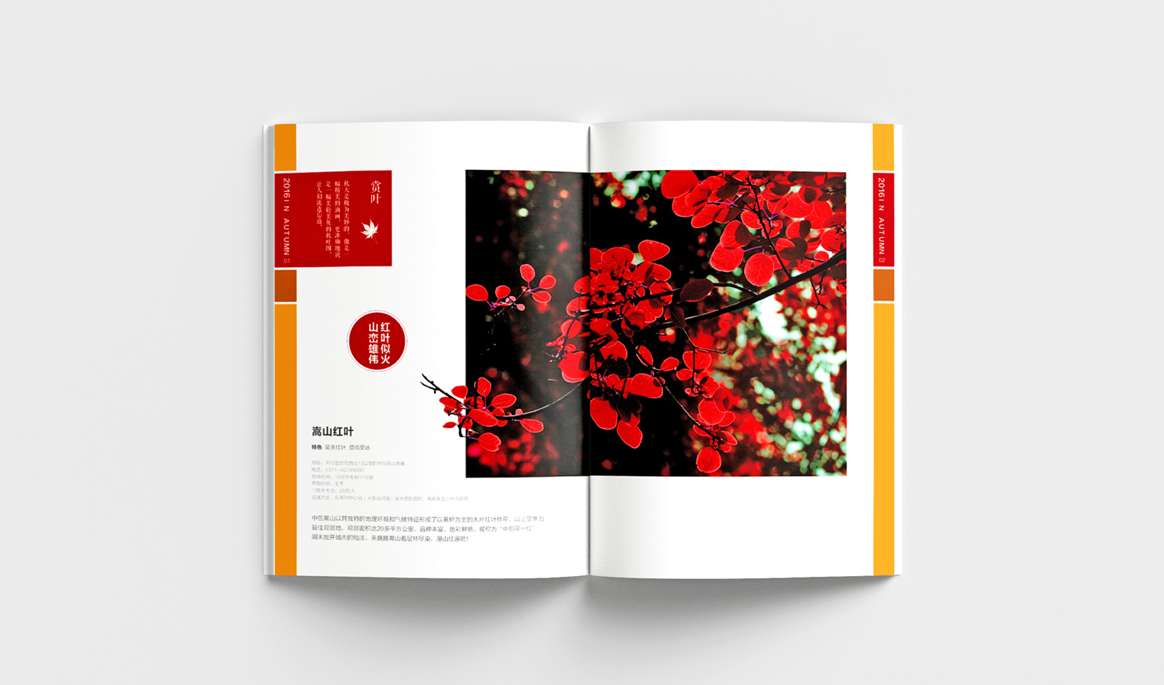 鄭州四季旅游畫冊設計