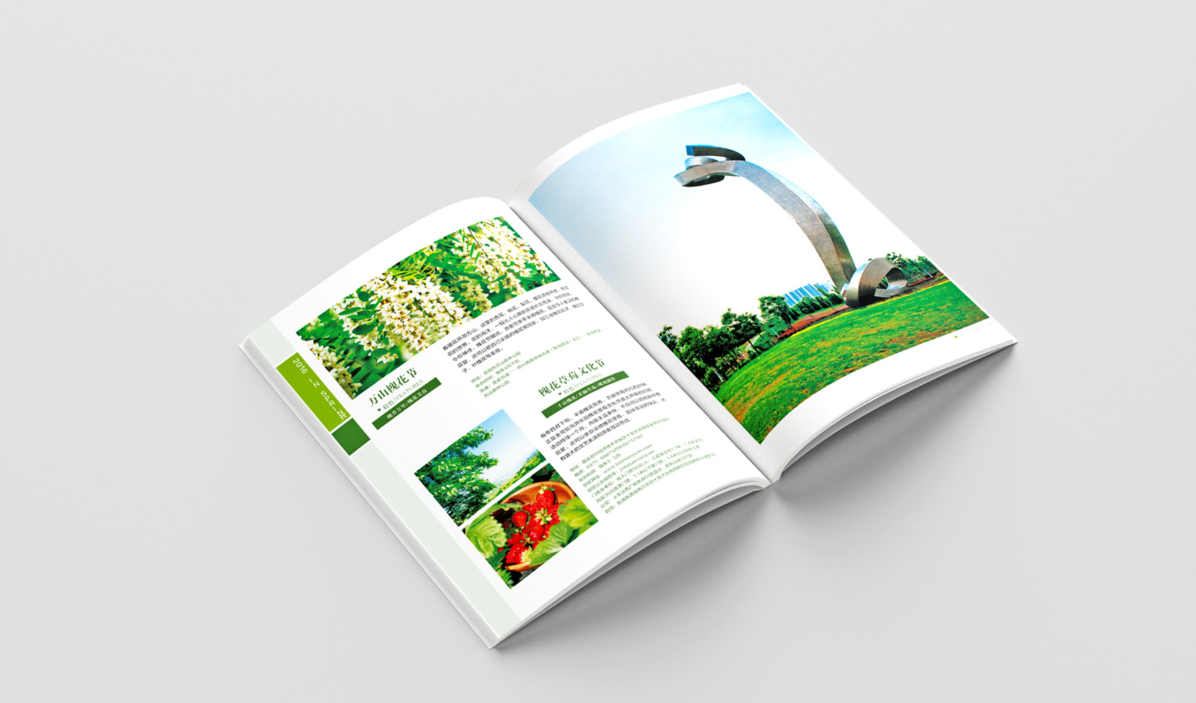 鄭州四季旅游畫冊設計