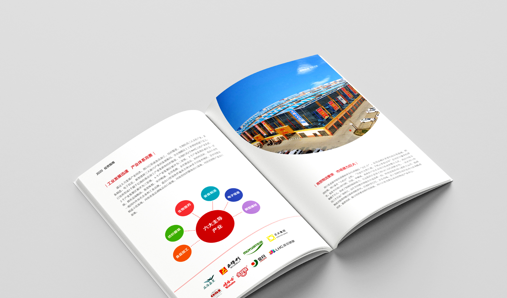 中原港城新周口 周口投資指南畫冊