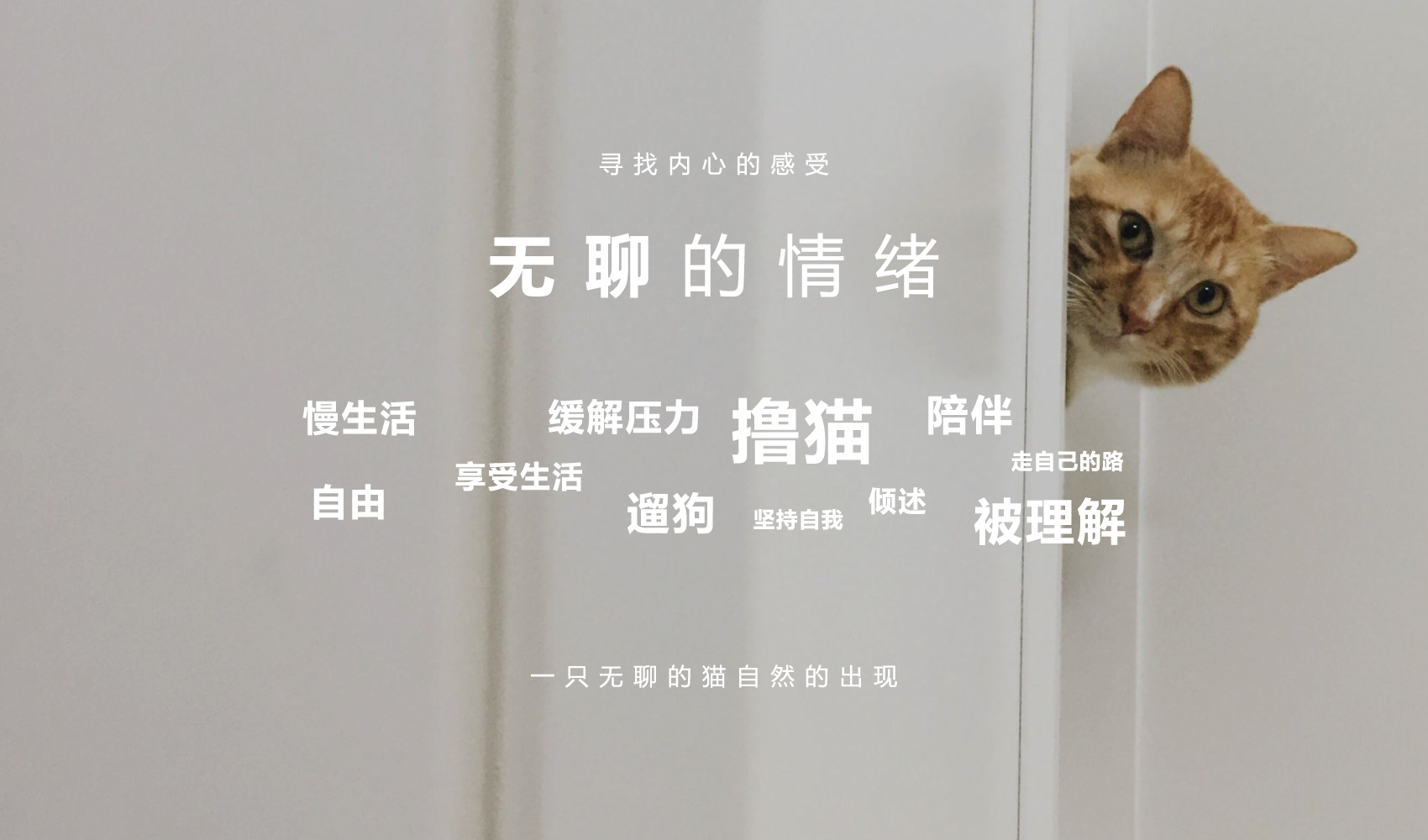 無聊貓品牌全案設(shè)計(jì)