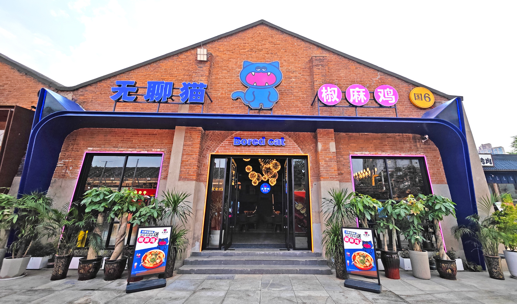 無聊貓品牌全案設(shè)計(jì)