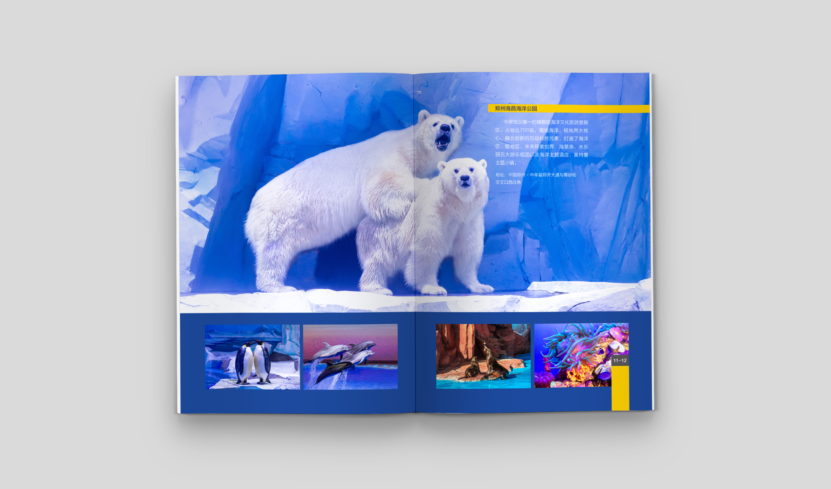 《中牟·幻樂之城》畫冊設計