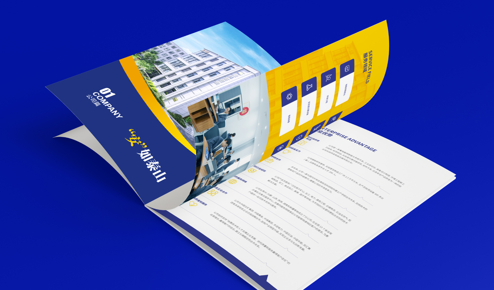 《安如泰山·大有科為》畫冊設計