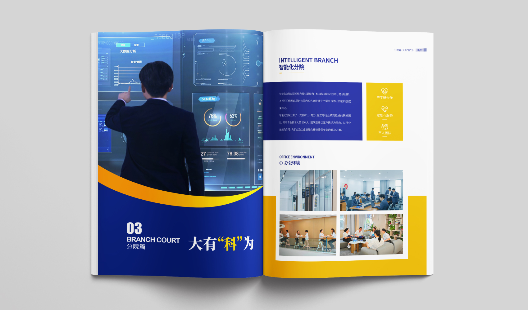 《安如泰山·大有科為》畫冊設計