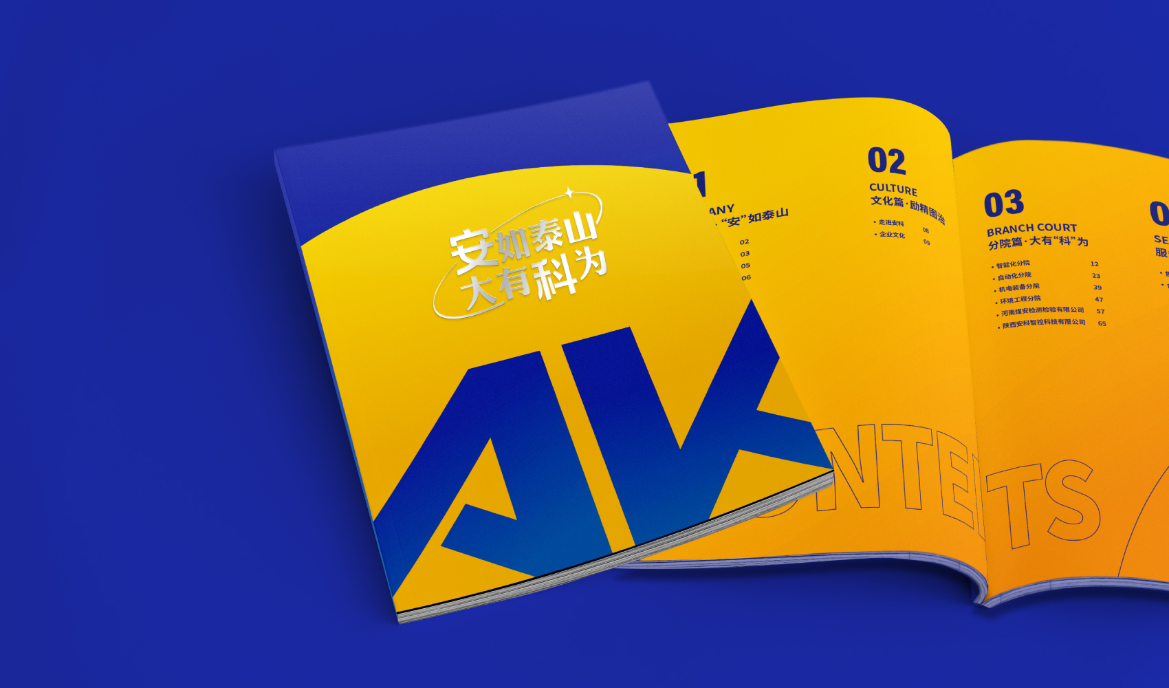 《安如泰山·大有科為》畫冊設計