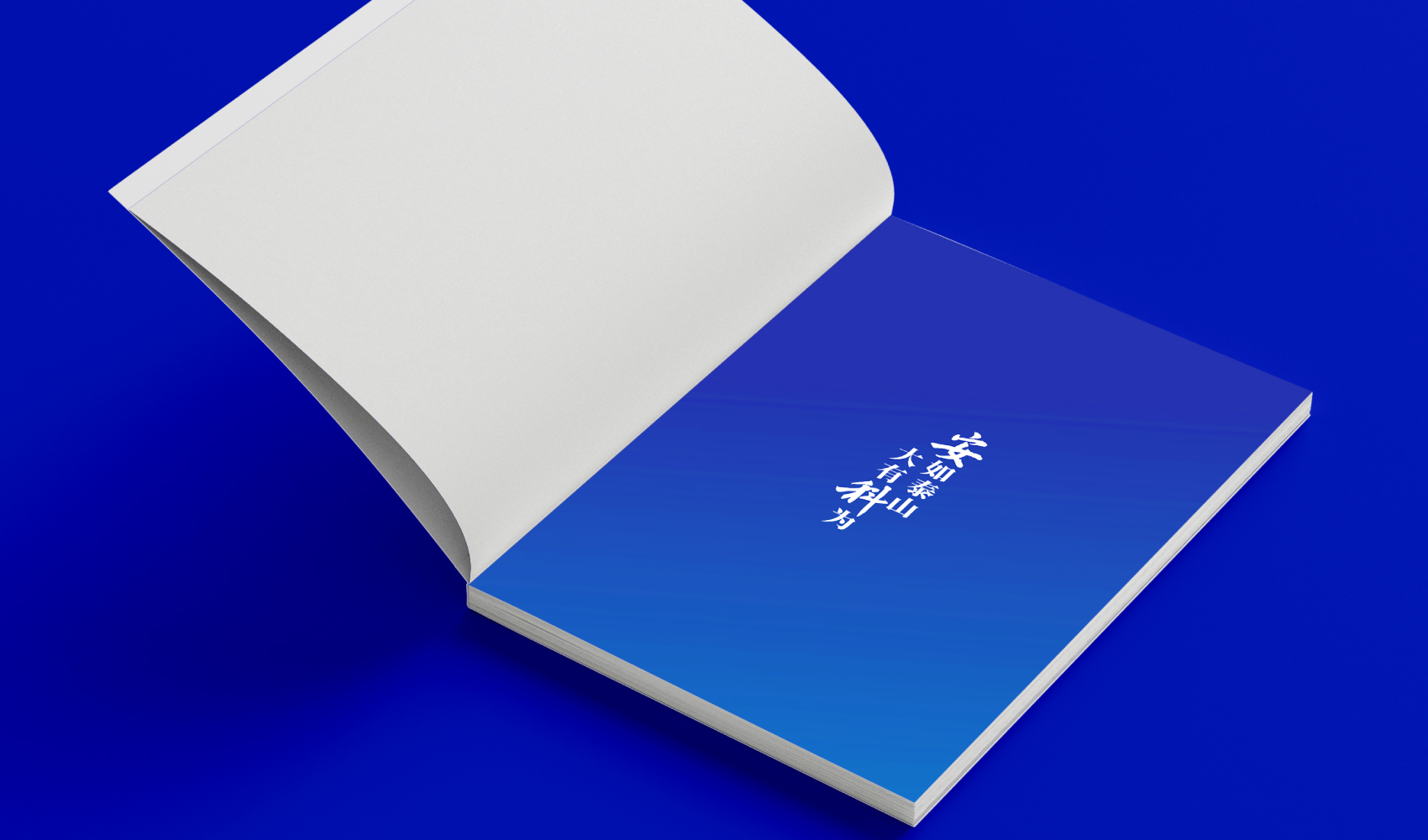 《安如泰山·大有科為》畫冊設計
