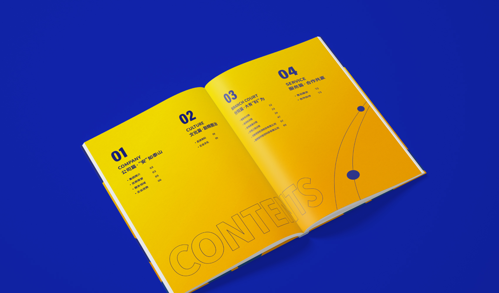 《安如泰山·大有科為》畫冊設計